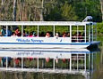 Tour Boat - Wakulla  Sprngs, Crawfordville, Florida